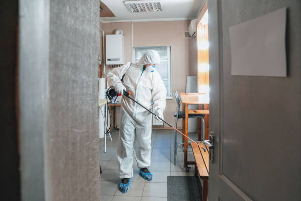 Mold Odor Removal Services in Humboldt, IA