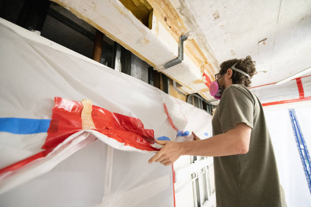 Best Environmental Consulting for Mold Prevention  in Humboldt, IA