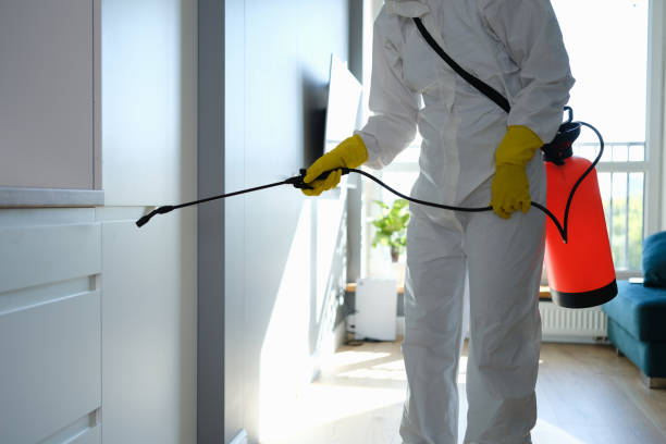 Asbestos and Lead Testing During Mold Inspection in Humboldt, IA