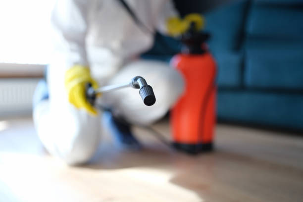 Best Air Quality Testing for Mold Spores  in Humboldt, IA