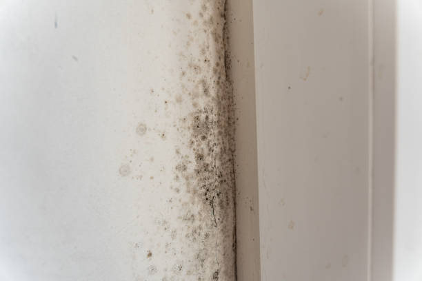 Best Indoor Air Quality Assessment  in Humboldt, IA